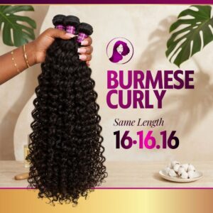 Burmese Curly 16" Bundle Set